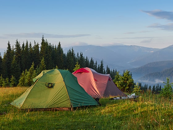 Sidi El Barrak, Béja